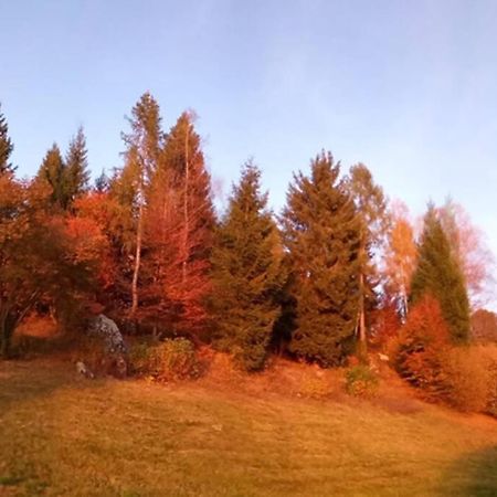 Chalet Maso Fradea Family Resort 카스텔로 테시노 외부 사진