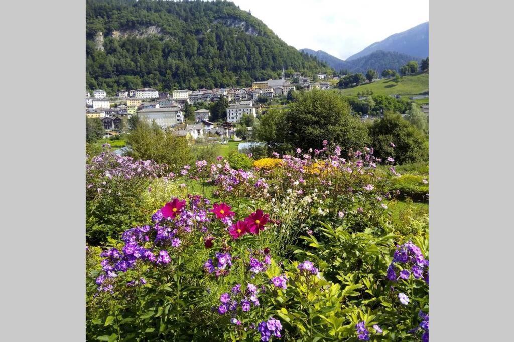 Chalet Maso Fradea Family Resort 카스텔로 테시노 외부 사진